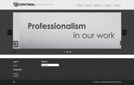Diseño Web hosting - controlcr